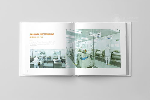 鲜誉品牌触觉 企业形象画册与宣传册设计理念